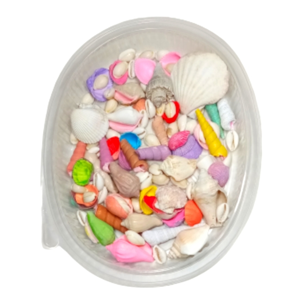 Bag of Assorted Sea Shells Nautical Beach Decor Crafts 107pcs